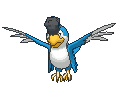 :sv/Squawkabilly-Blue: