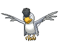 :sv/Squawkabilly-White: