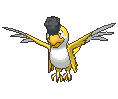 :sv/Squawkabilly-Yellow: