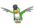 :ss/Squawkabilly: