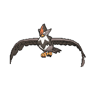 :sv/staraptor: