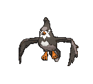 :ss/Staravia:
