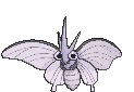 :swsh/venomoth: