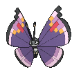 :ss/vivillon-elegant: