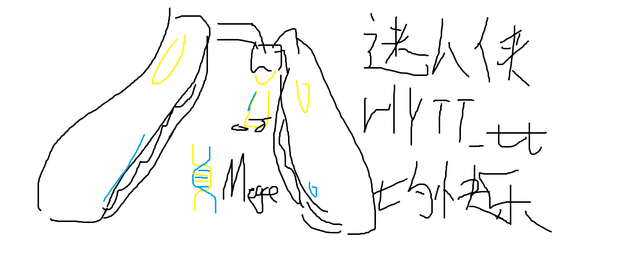 无标题.png