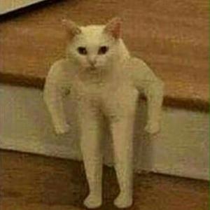 175921