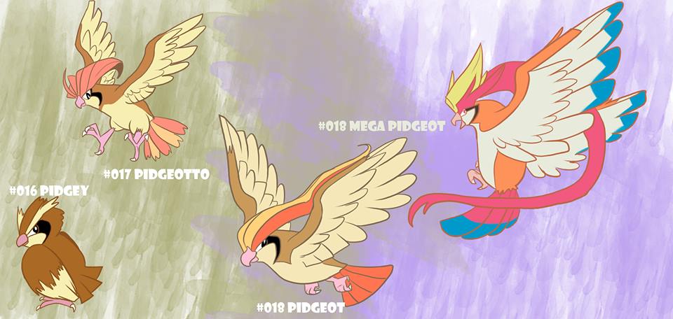 016_pidgey_pidgeotto_pidgeot_mega_pidgeot_justoon_smitts.jpg