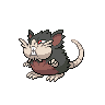 Raticate