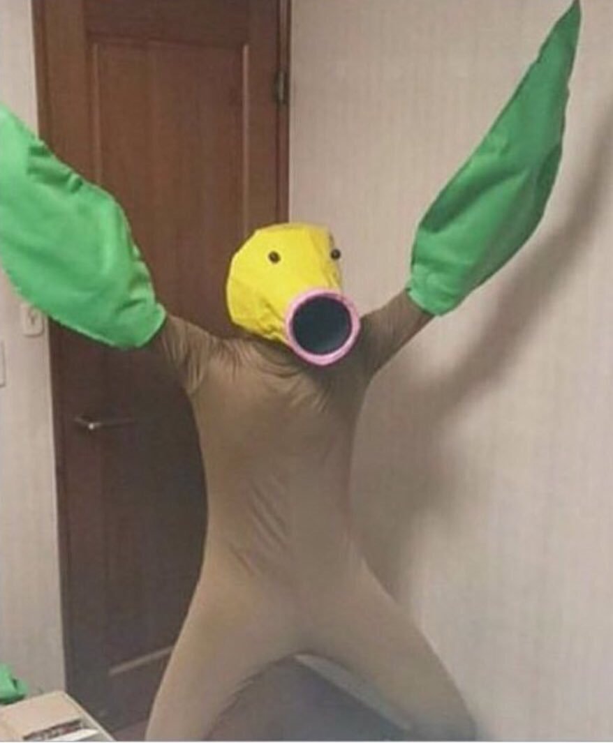 0n4f6nw2hf311.jpg