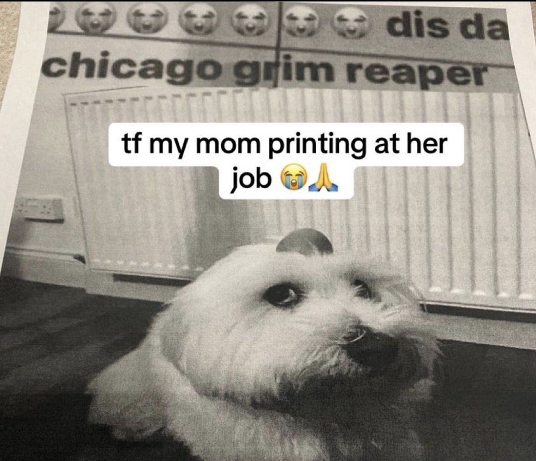 1000001529.jpg