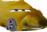 1000004672.png