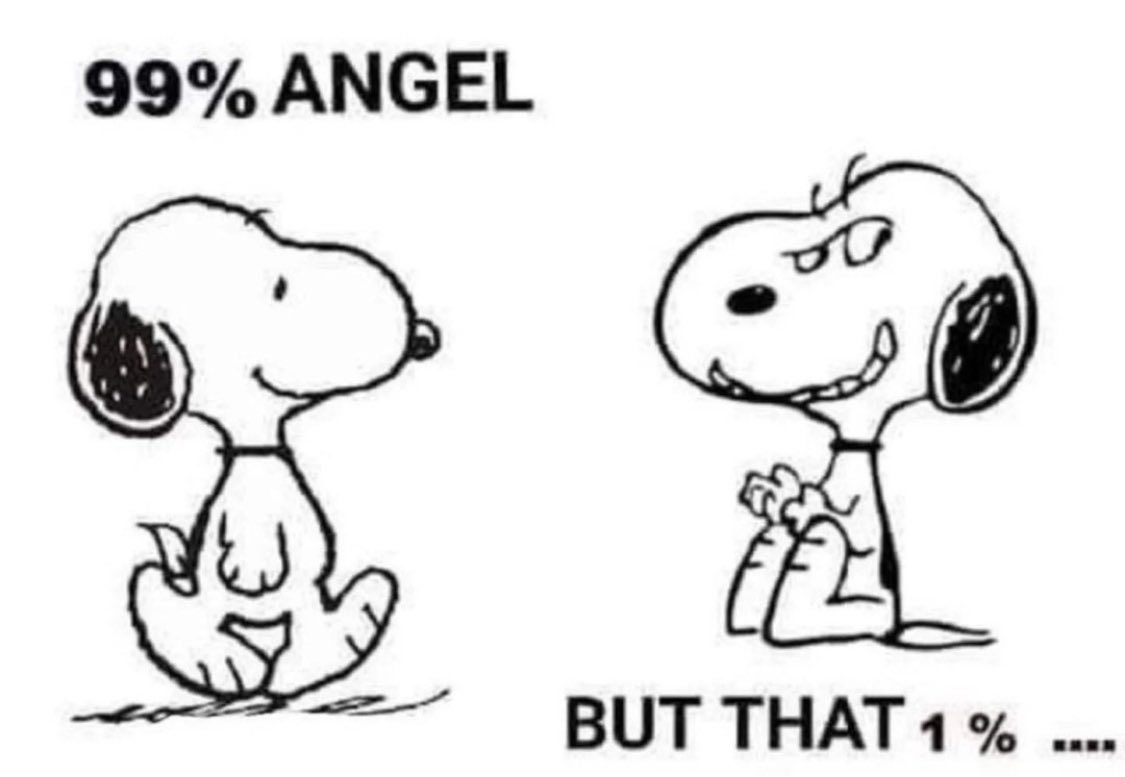 1000005076.jpg