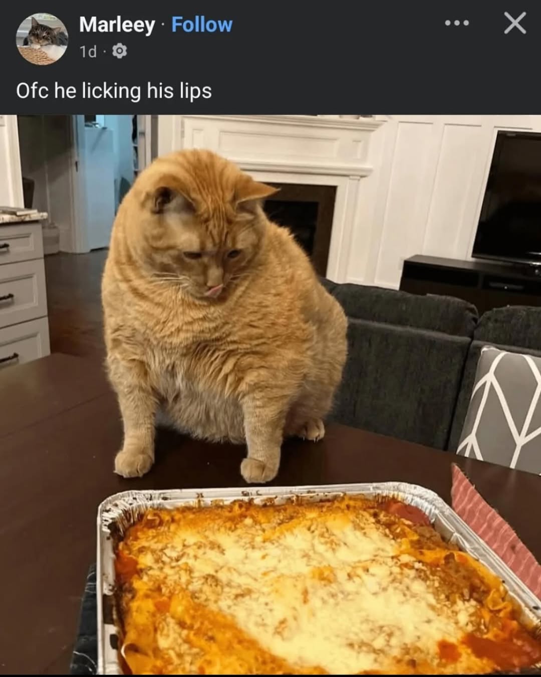 1000007421.jpg