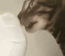 1000007829.gif