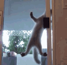 1000007832.gif