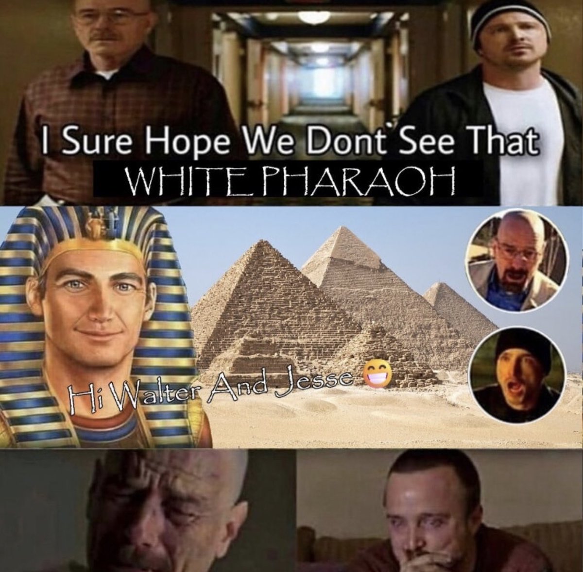 1000011169.jpg