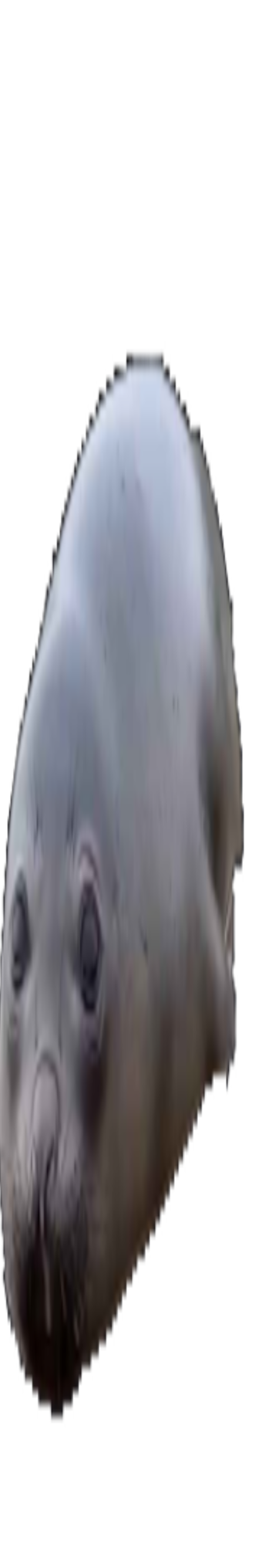 1000011531.png