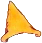 1000013676.png
