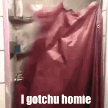1000029649.gif