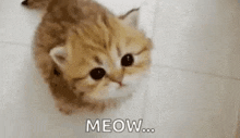 1000031614.gif