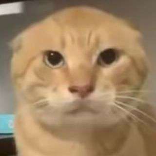 1000035778.jpg