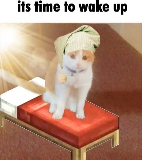 1000036173.jpg