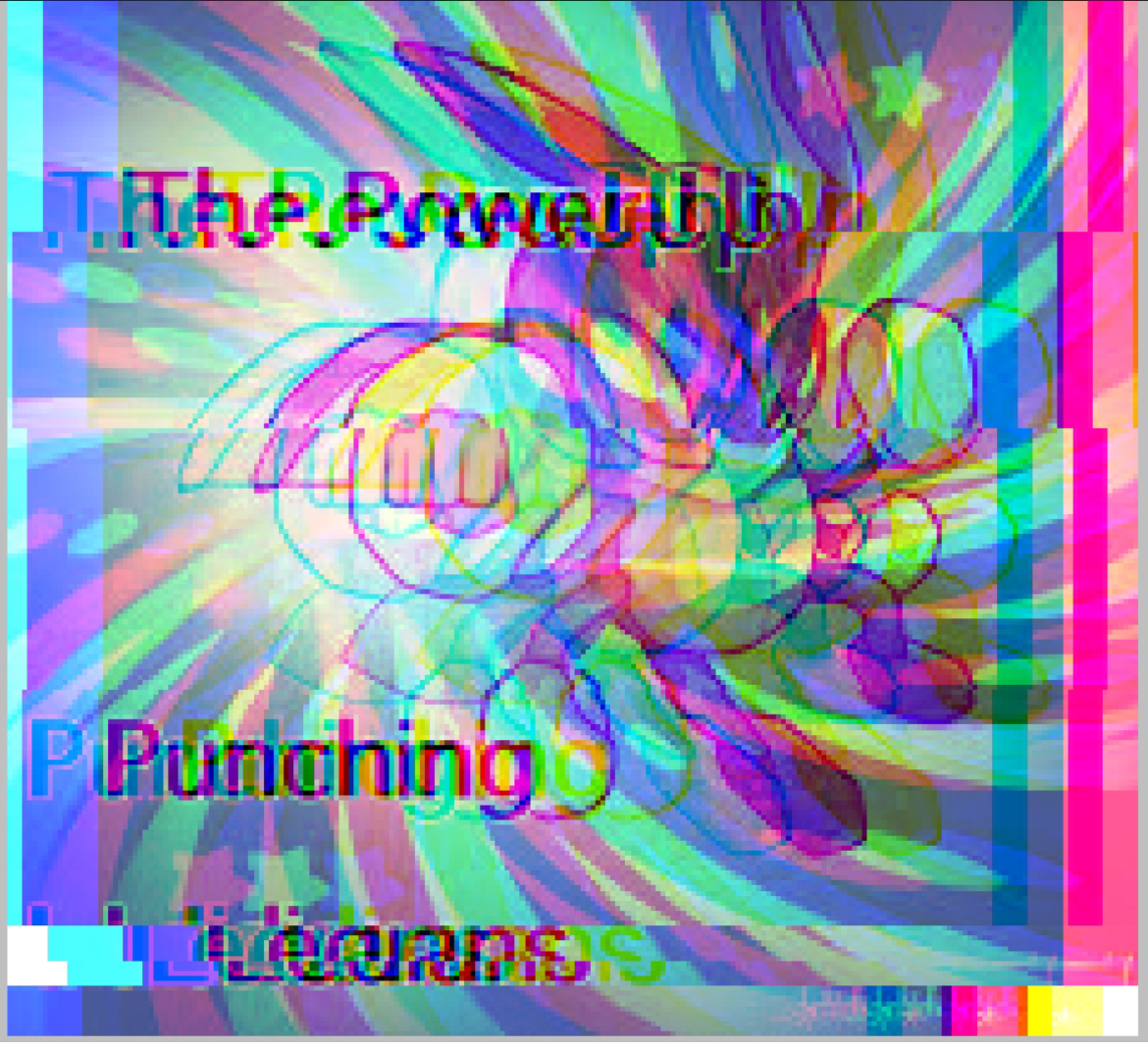1000036648-jpg.629809
