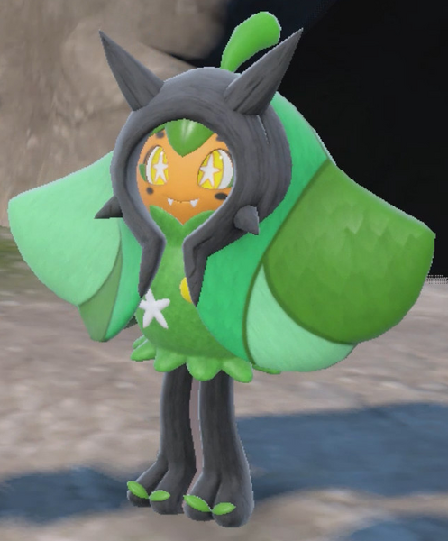 1000042552.png