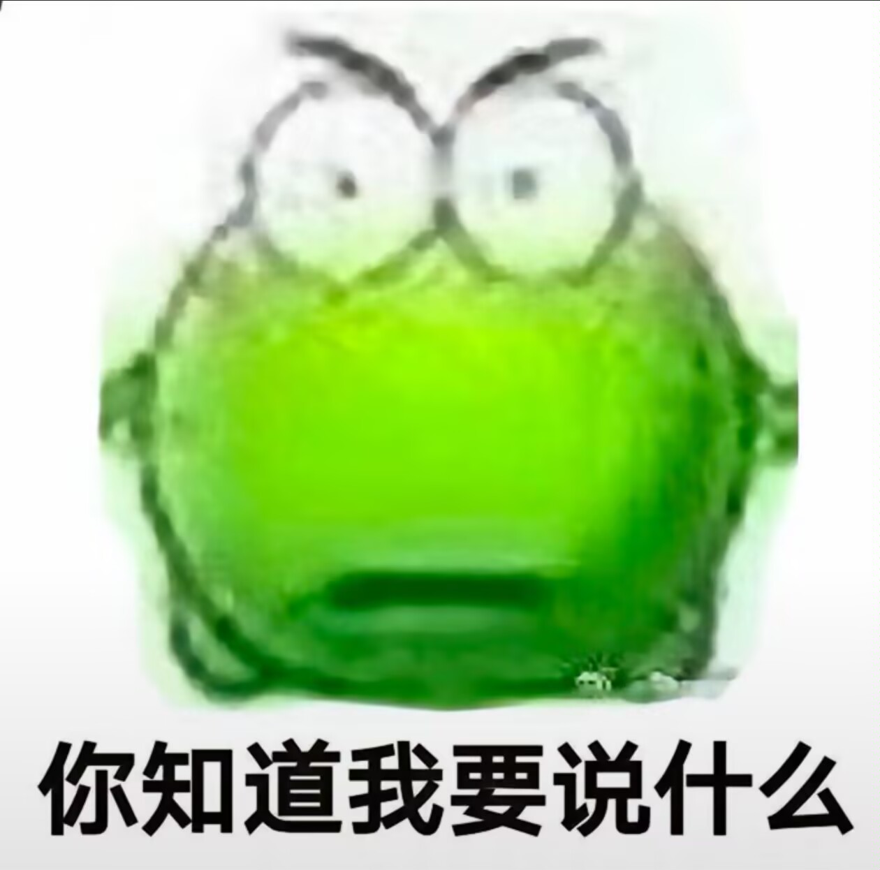1000052213.jpg