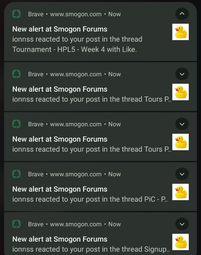 1000065924.jpg