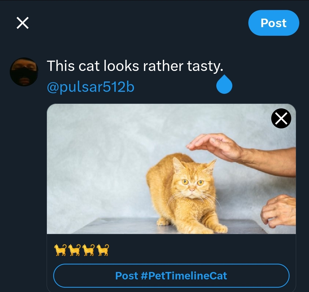 1000078497.jpg