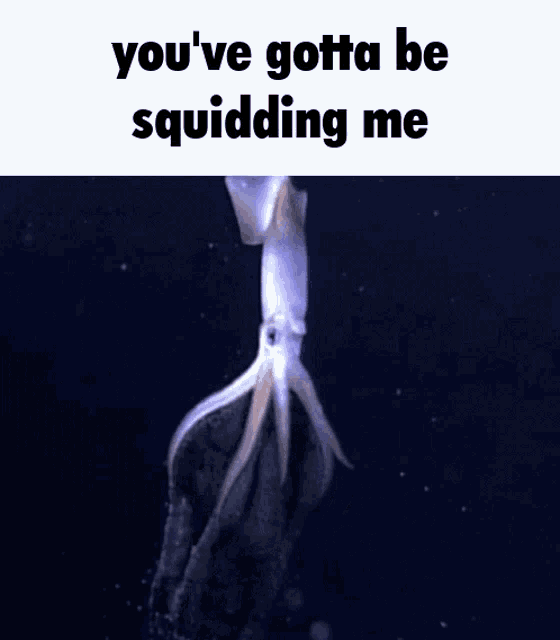 1000119970.gif