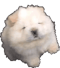 1109943899419594822.gif