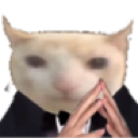 1200482119248511037_webp.png
