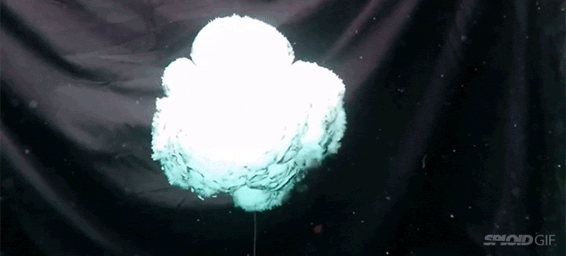 1293475011222769040.gif