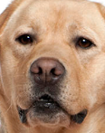 1522562041779.png