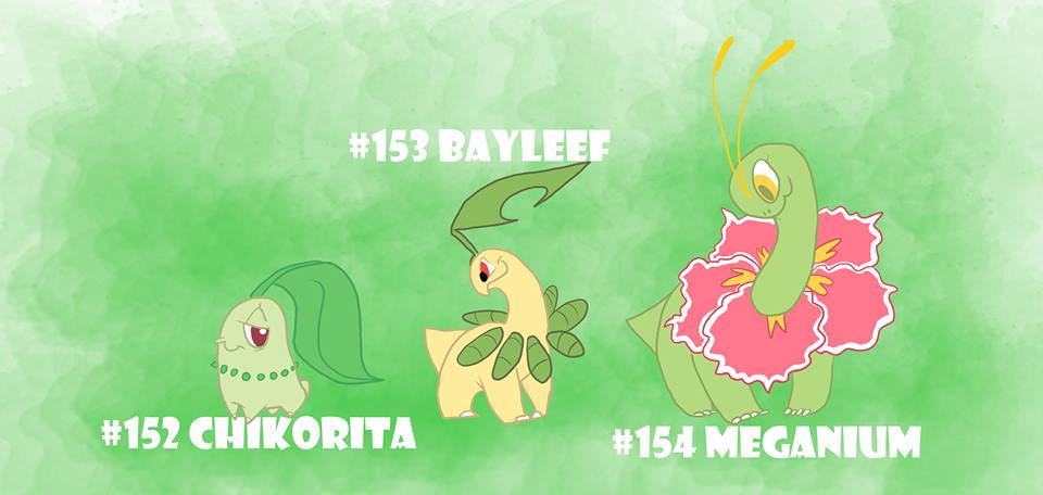 152_chikorita_bayleef_meganium_justoon_smitts.jpg