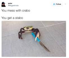 1532458496023.jpeg