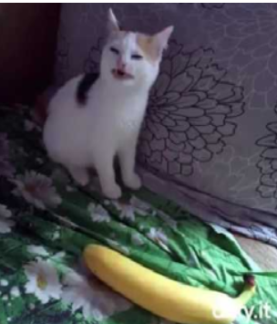 1545007730325.png