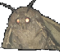 163860