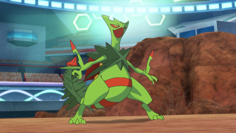 De quem é o Sceptile em Pokémon XY&Z? 