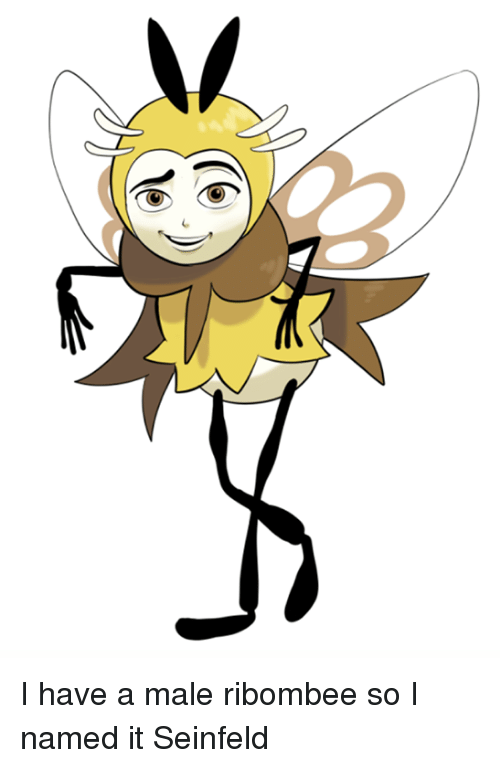 1575313865395.png