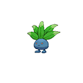 1581280474420.png