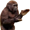 1599703365817.png