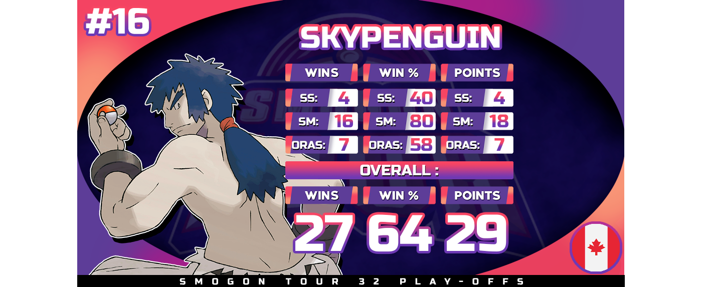 #16-Skypenguin.png