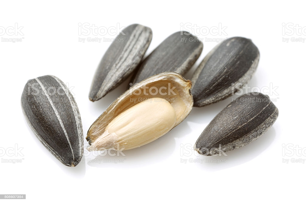 SEEDS