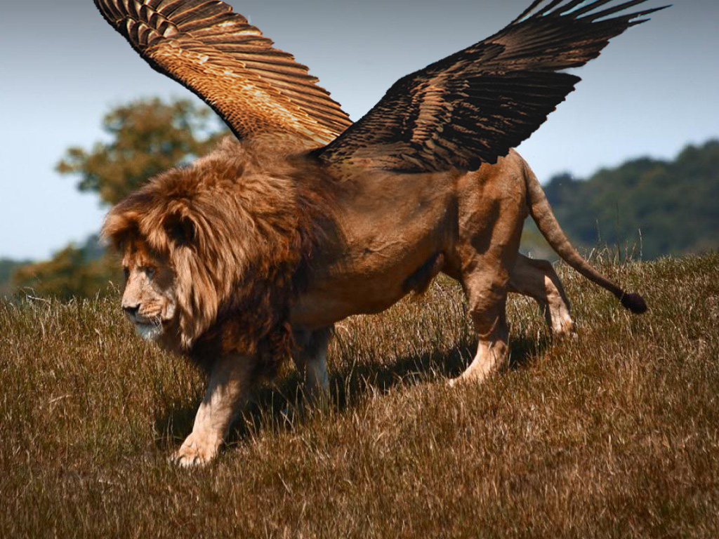 1606791349944.png