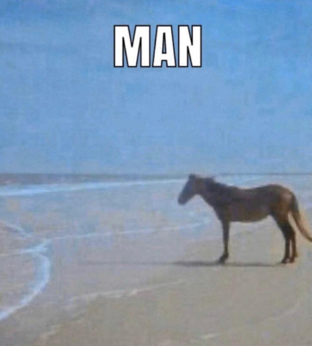 1613058797514.png