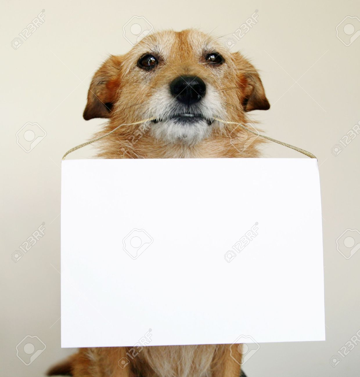 1613353925787.png