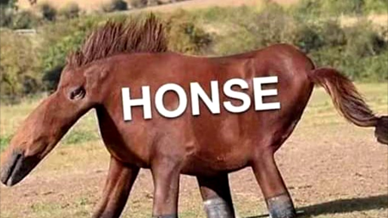 1616028523536.png